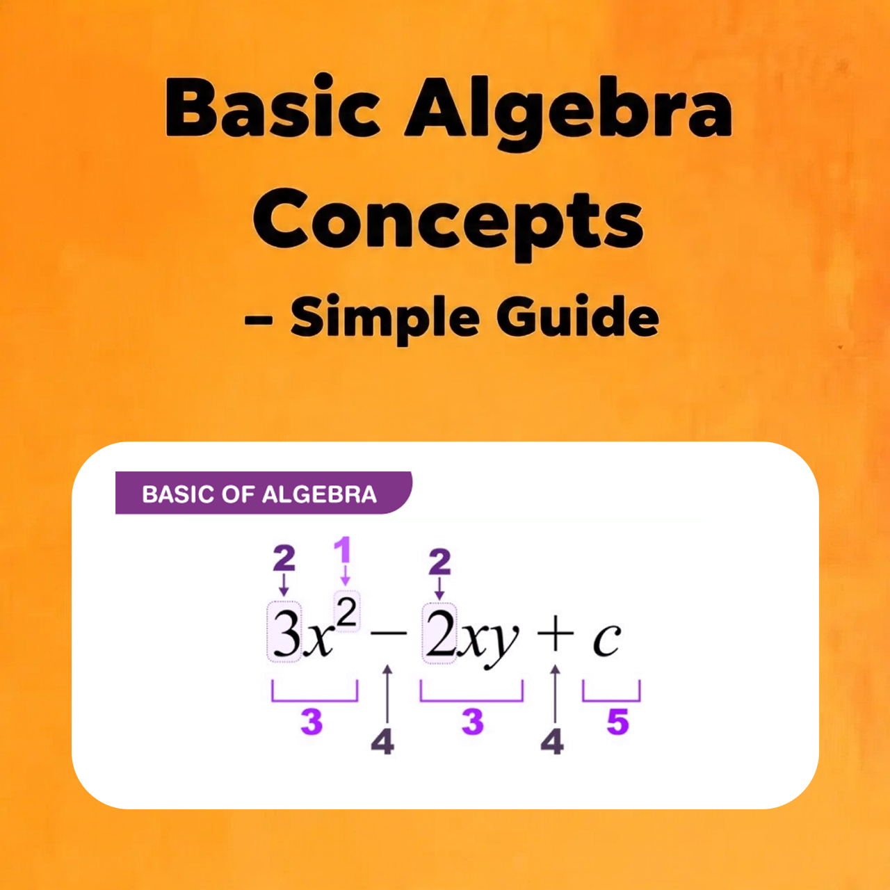 Basic Algebra